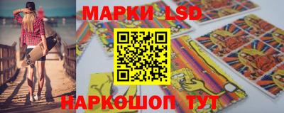 гашик Будённовск