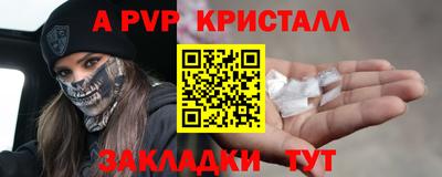 гашик Будённовск