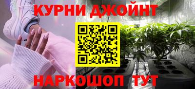 гашик Будённовск
