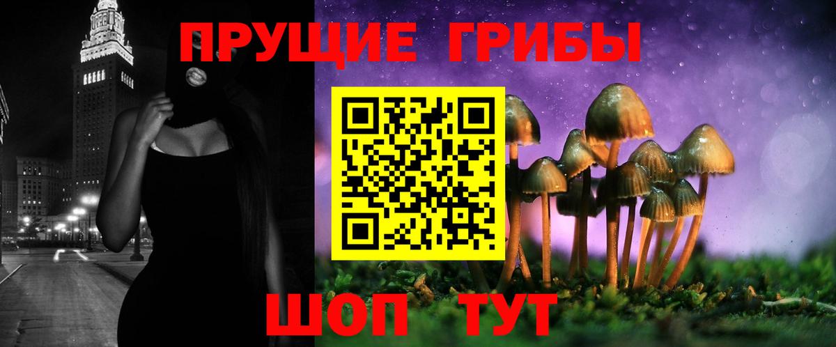 Коряжма  Галлюциногенные грибы Cubensis  Вход с VPN 